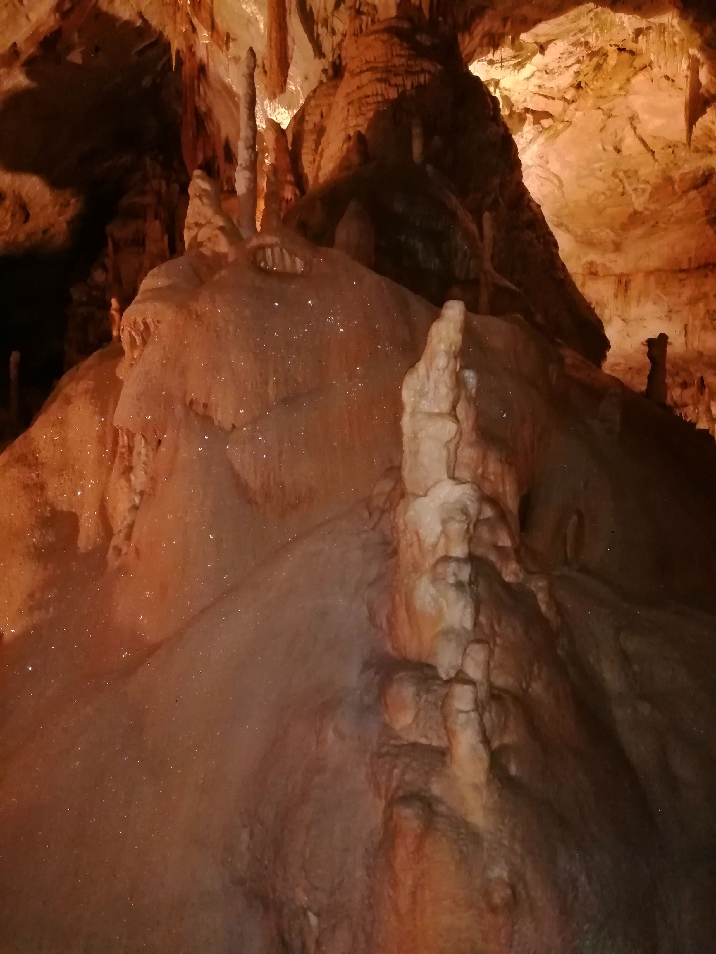 Postojna Cave photo 6