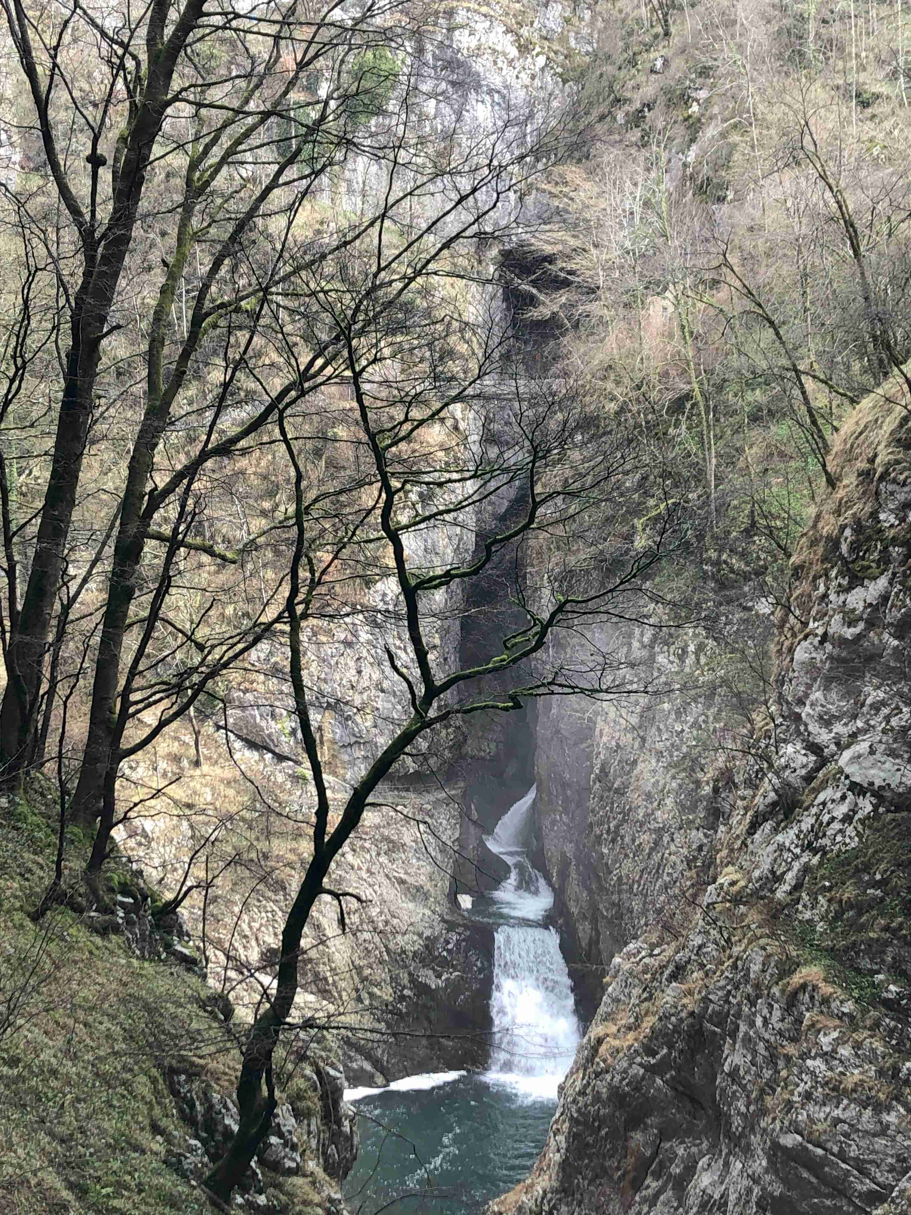 Skocjan Caves Exit