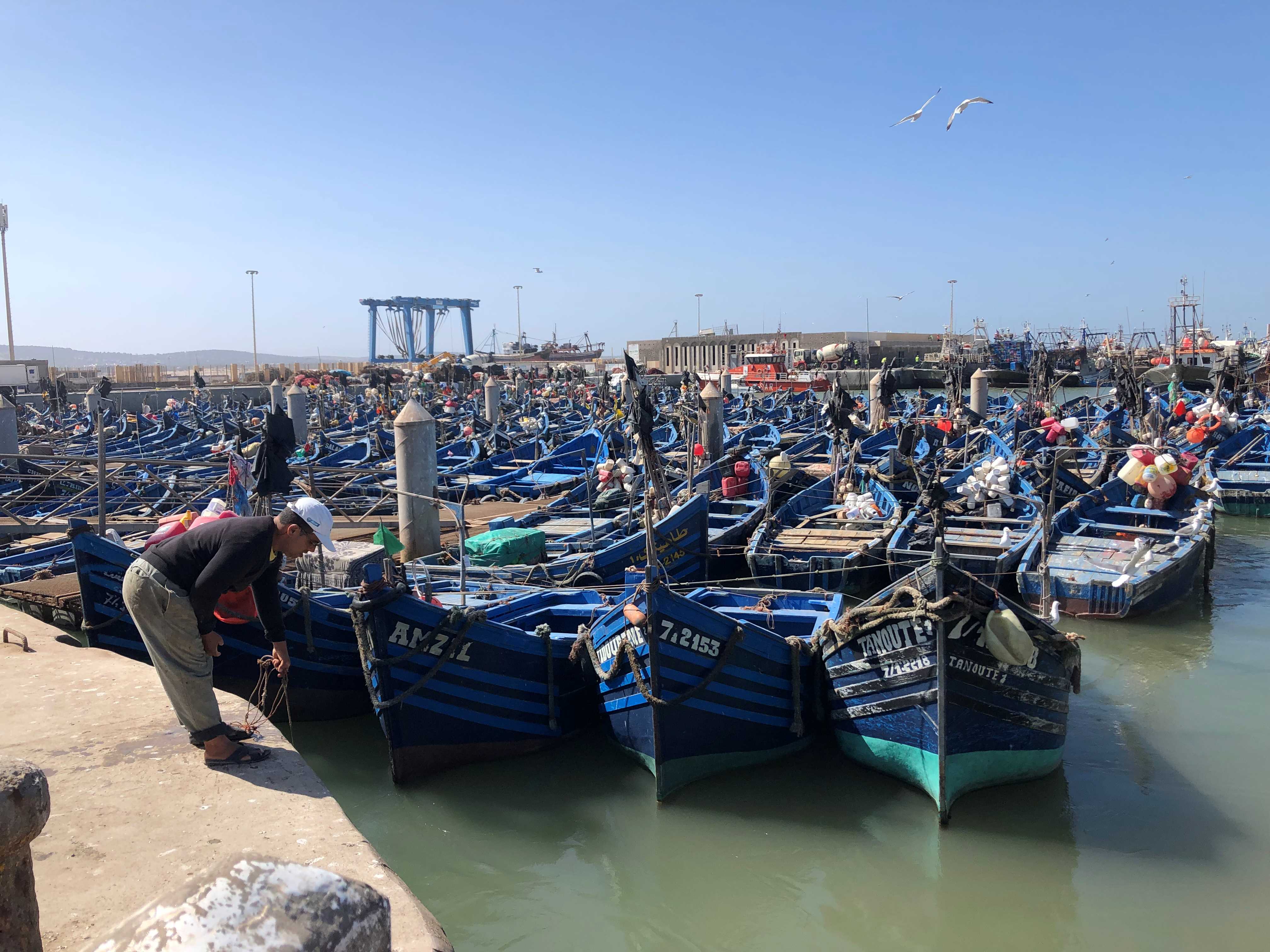 Essaouira Fishing Port 1