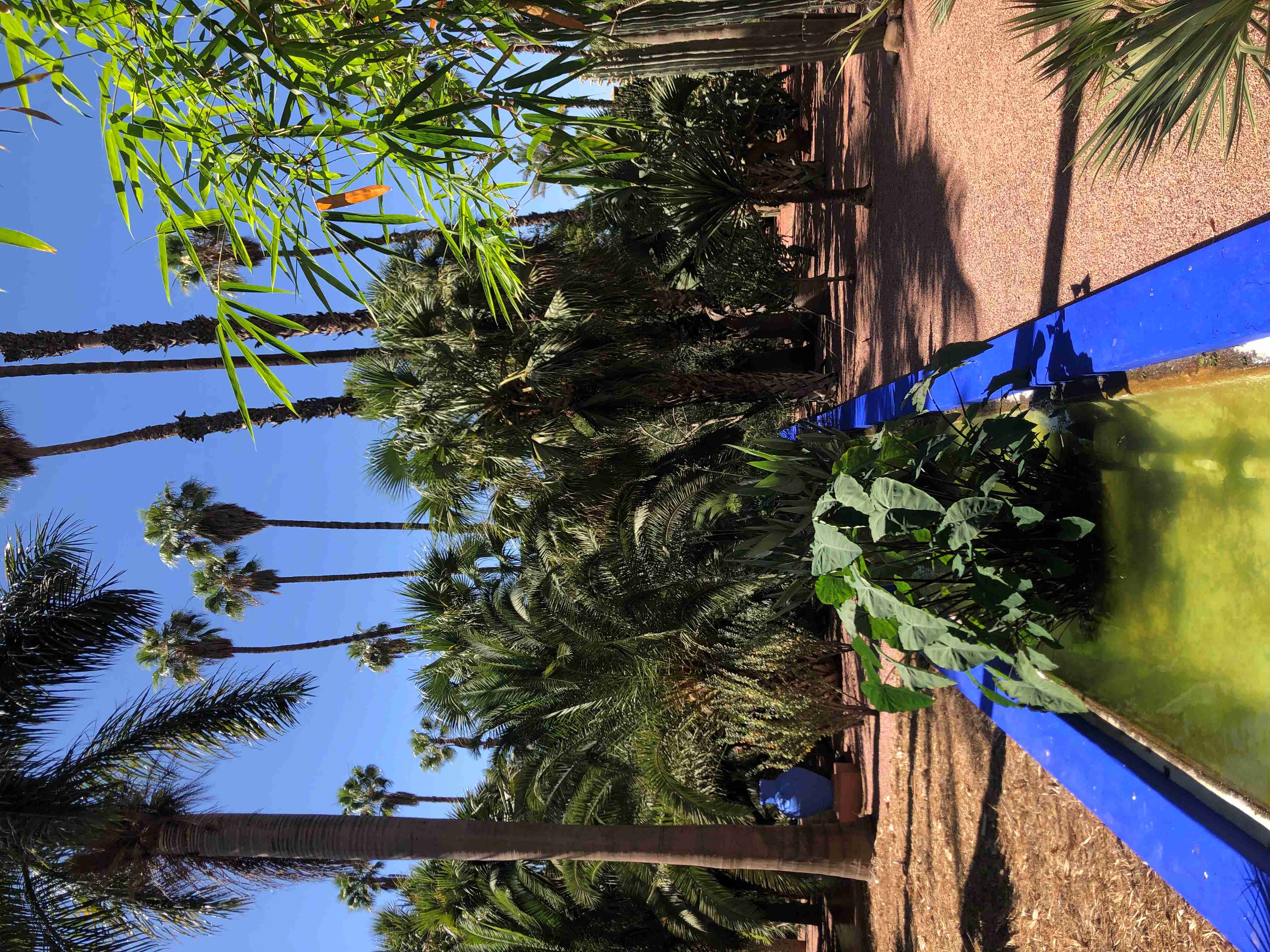 Jardin Majorelle 4