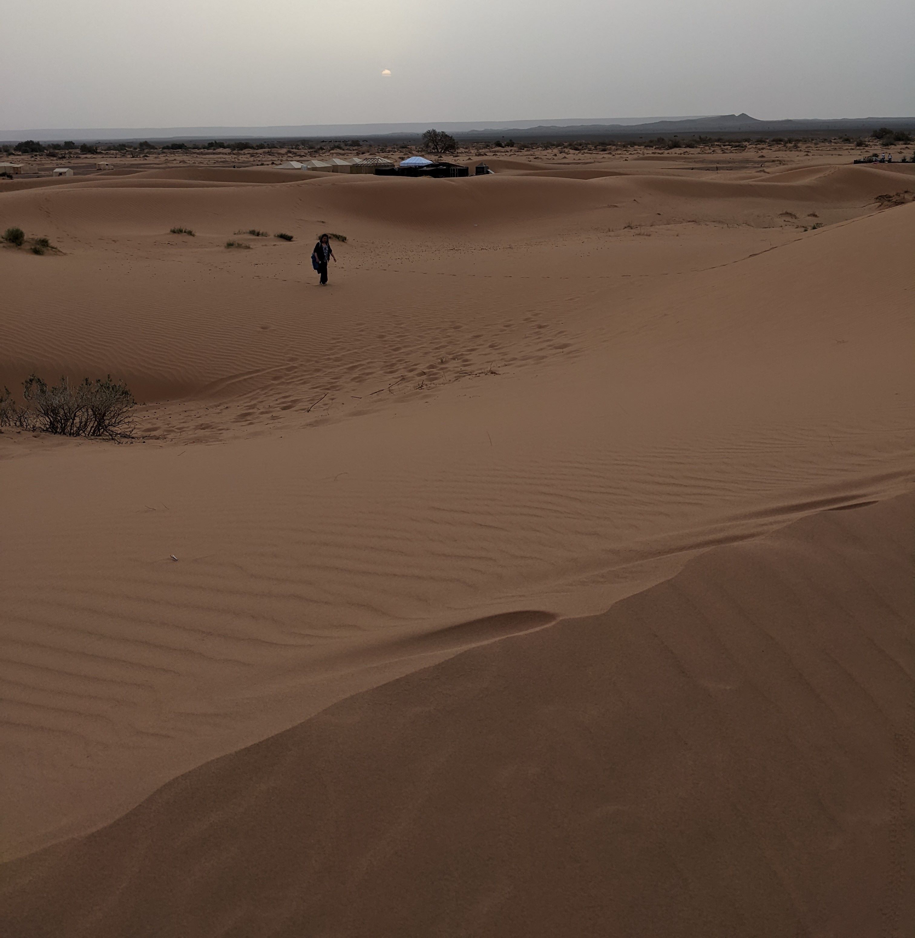 Sahara photo 13