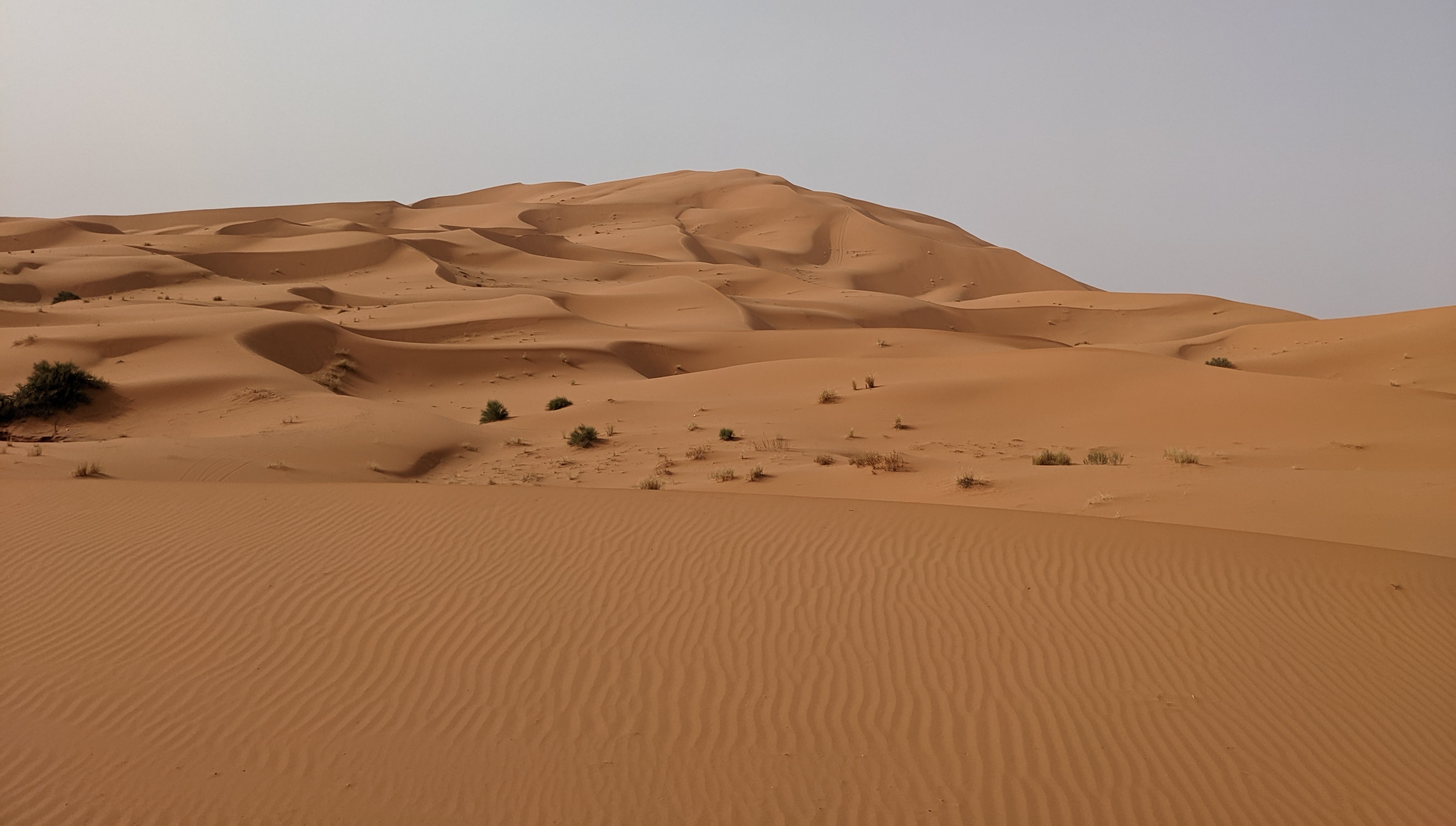 Sahara photo 5