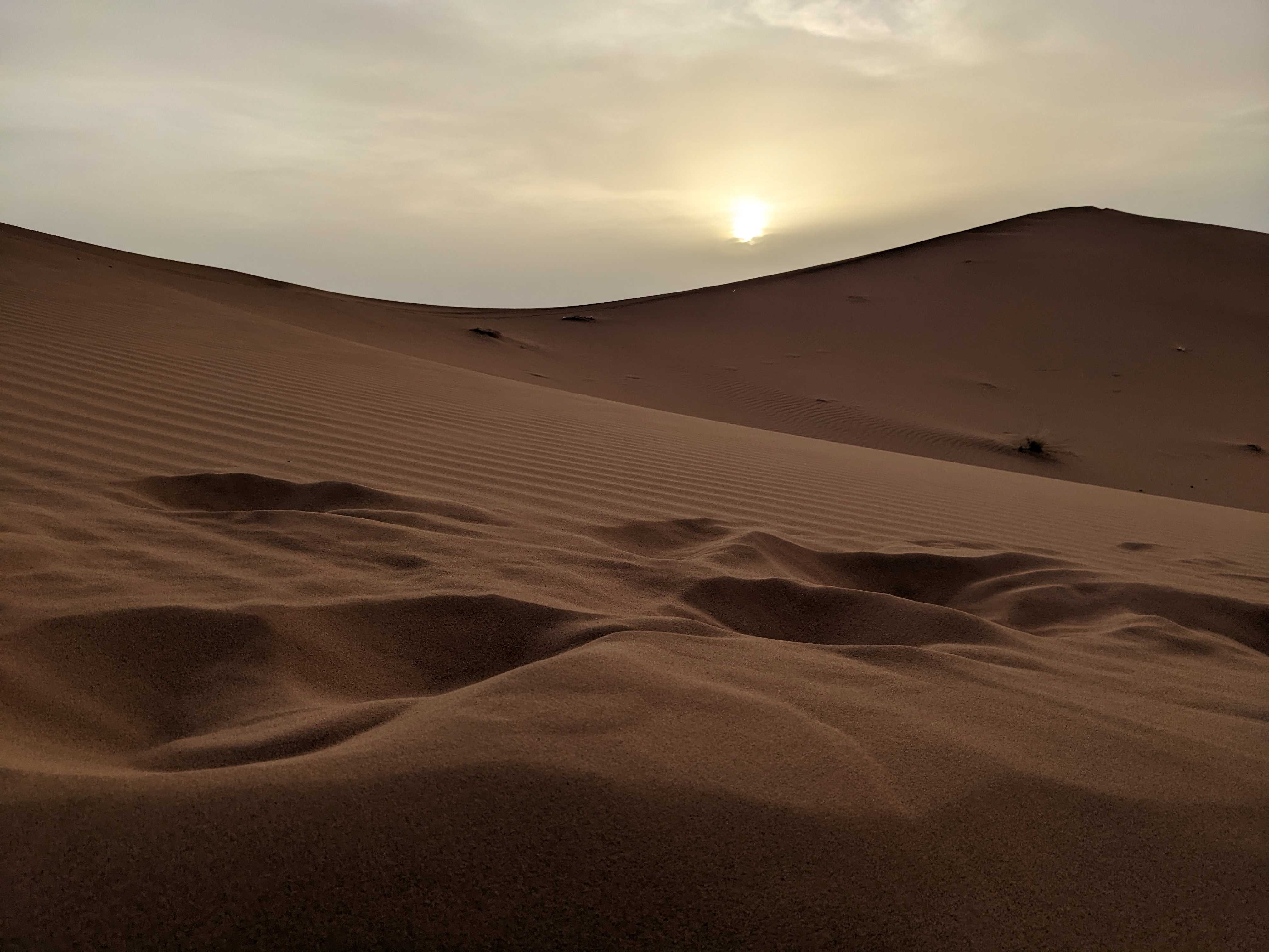 Sahara photo 6